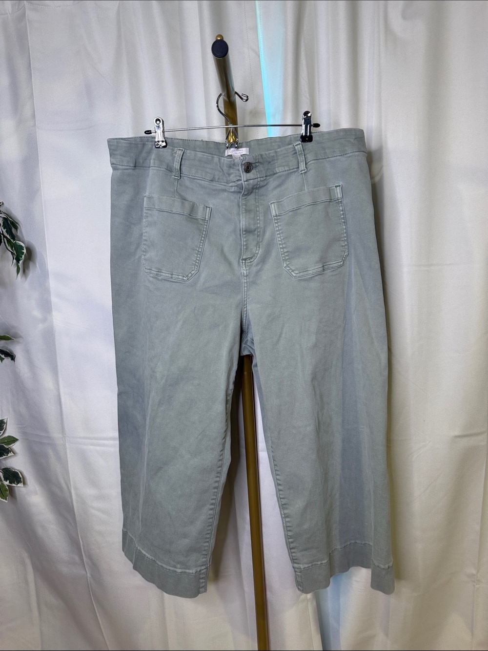 LC Lauren Conrad Gray Green Flat Front Cropped Wide Leg